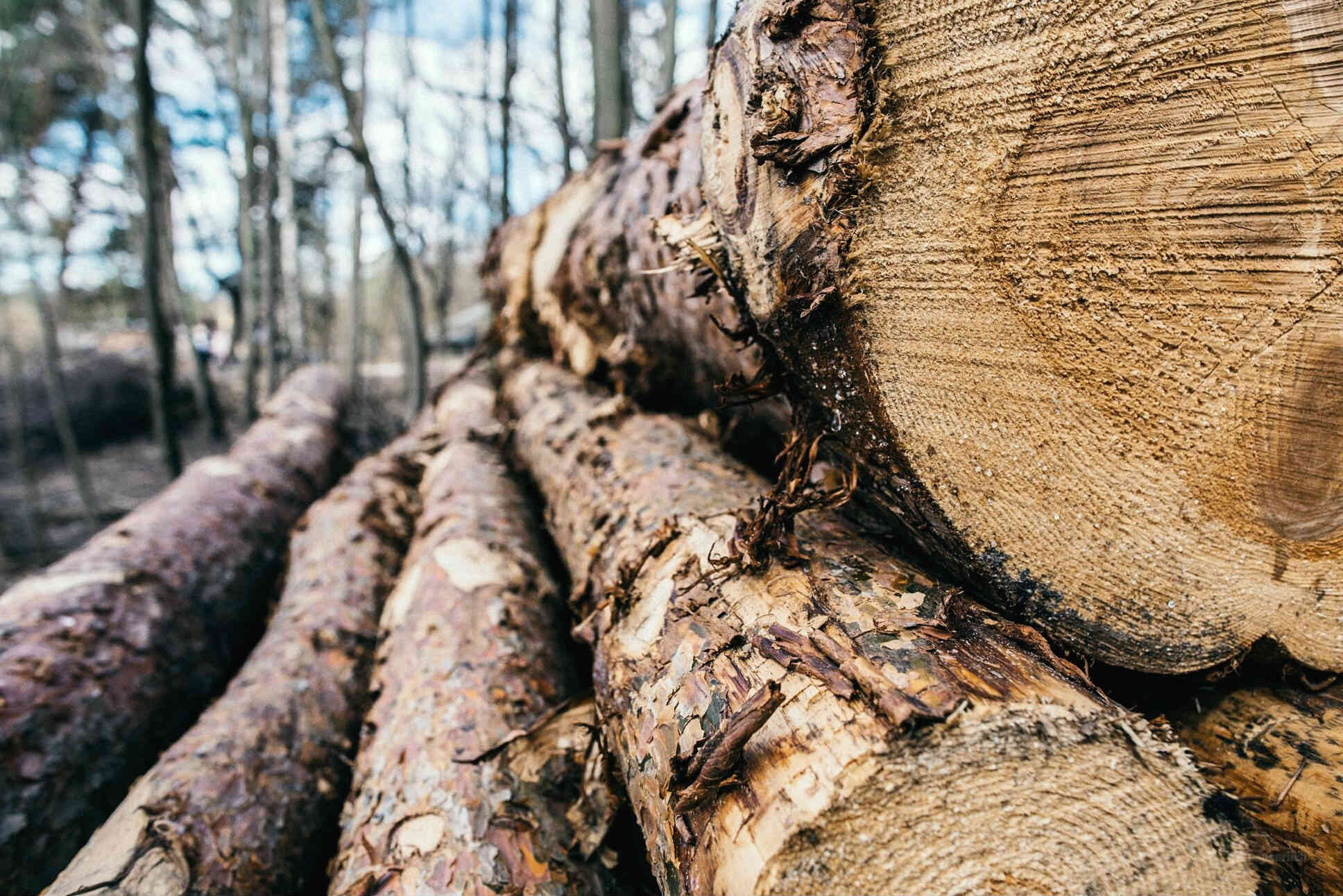 wood construction