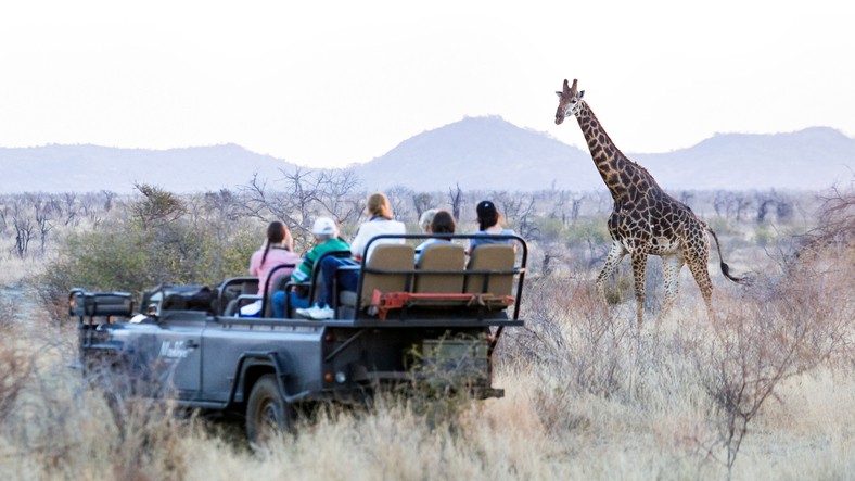 travel experience