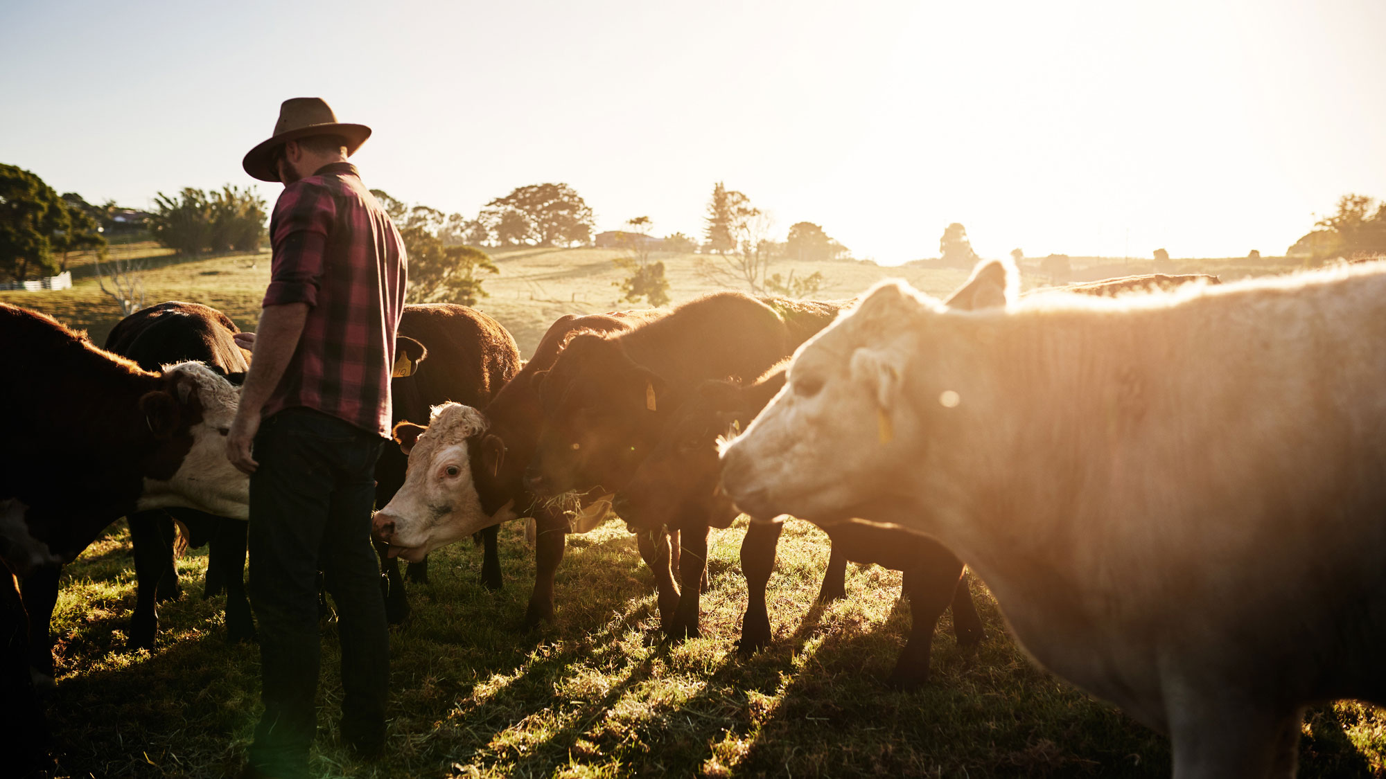 Agribusiness-Dairy-Fire-Prevention