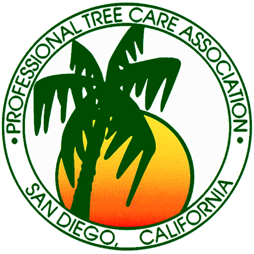 PTCA_SD
