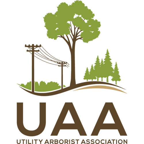 UAA