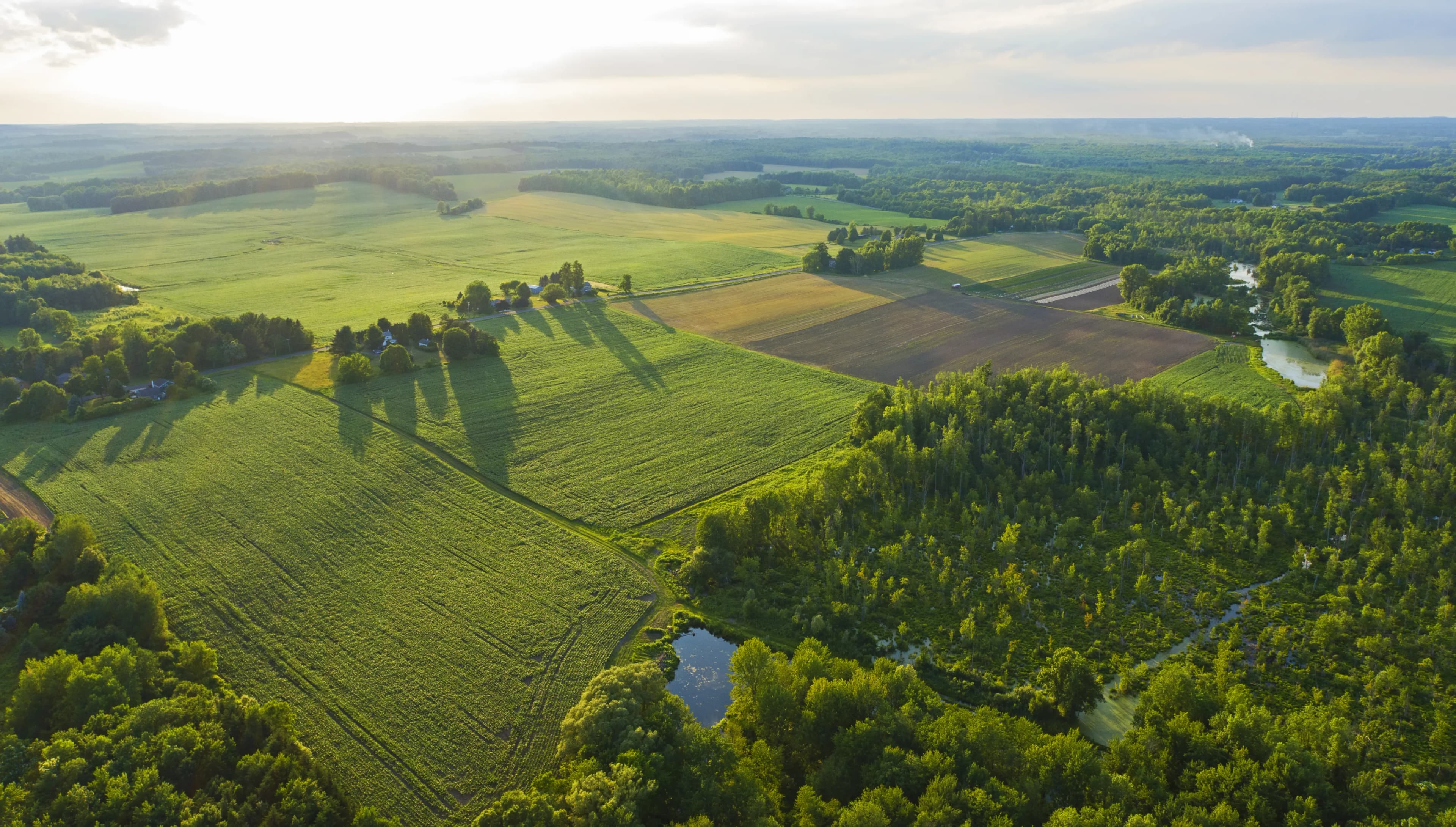 agribusiness-insurance