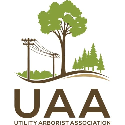 UAA