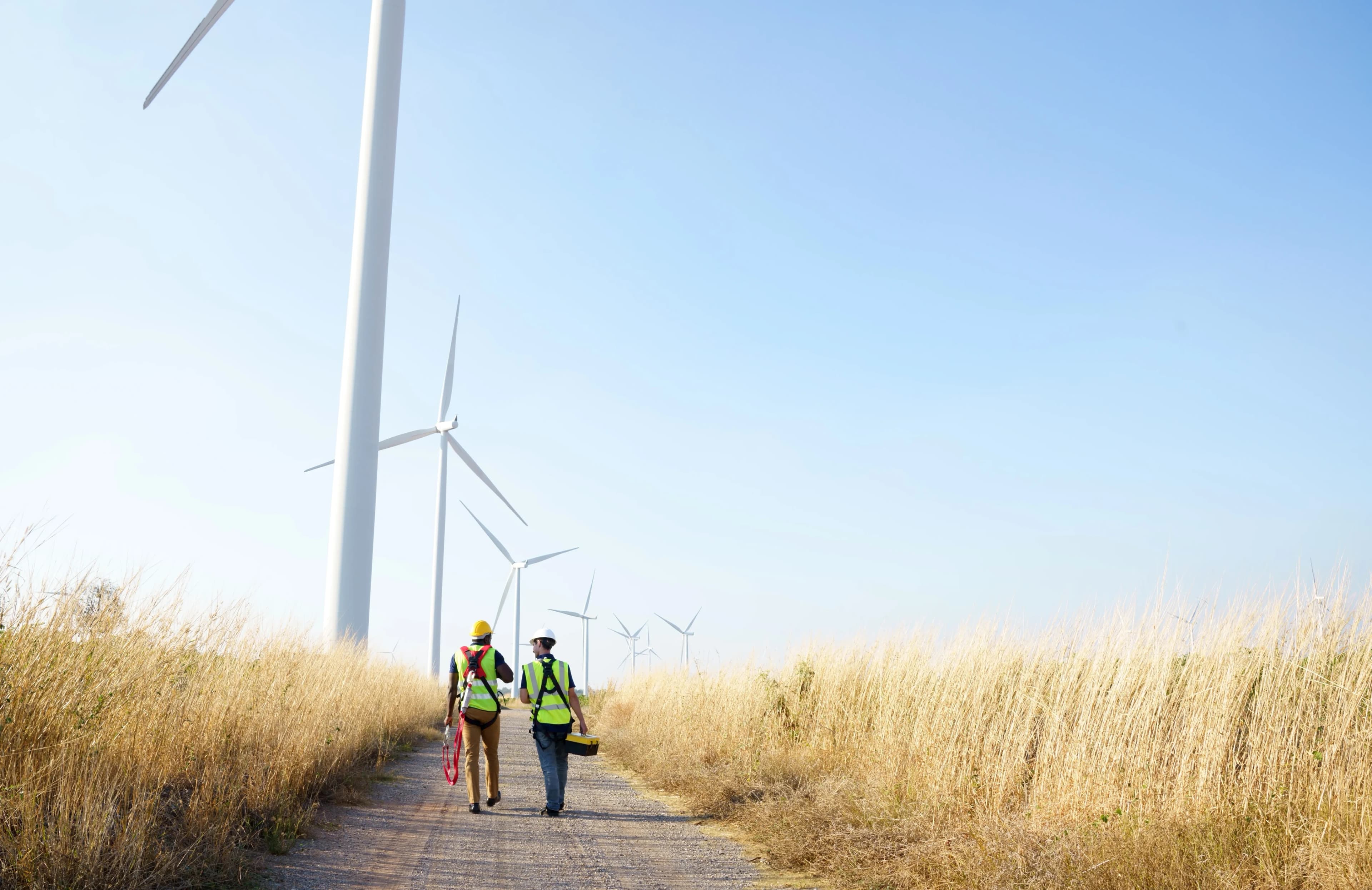 workers-walking-wind-farm