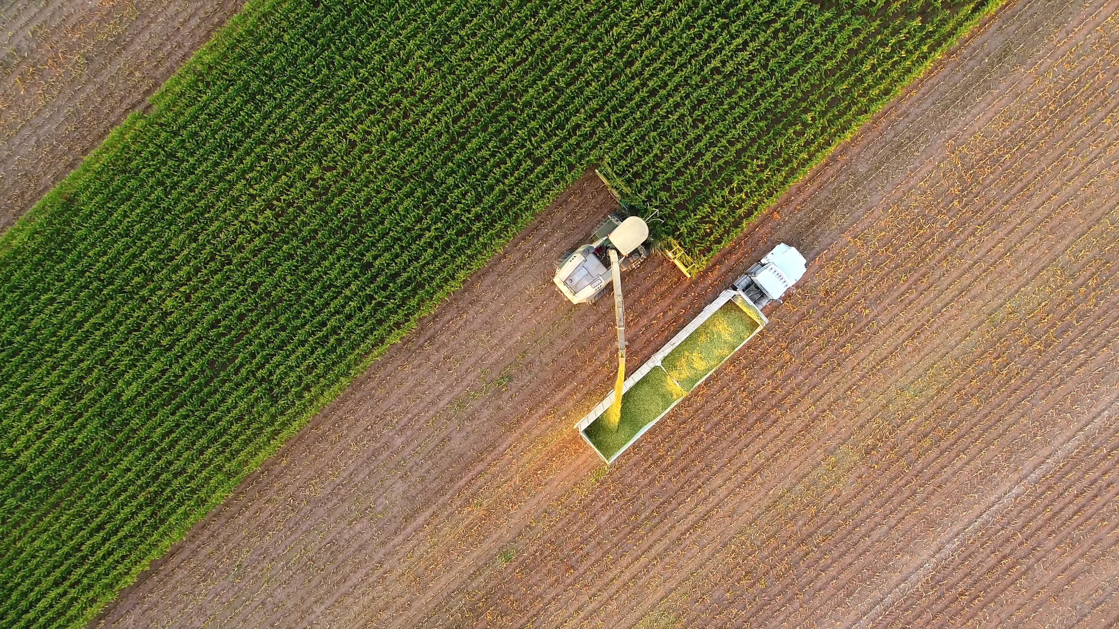 agribusiness-and-farm-insurance