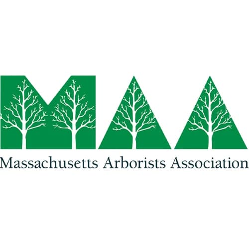 MAA