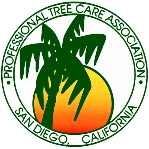 PTCA_SD