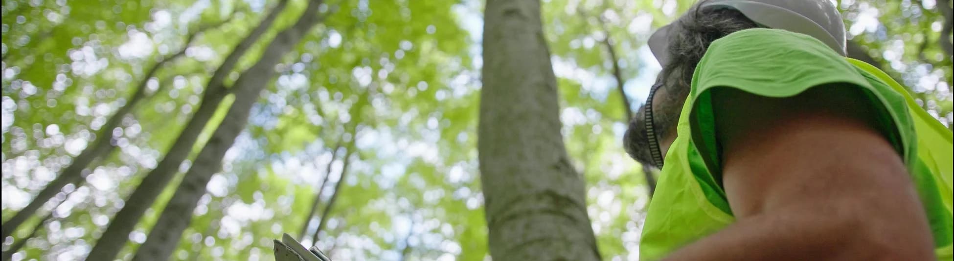 Banner-Image-HUB-Tree